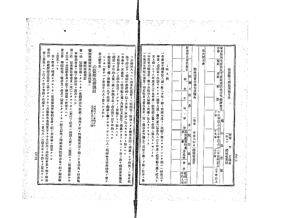 10几代 